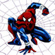 SpiderMan Icon Image