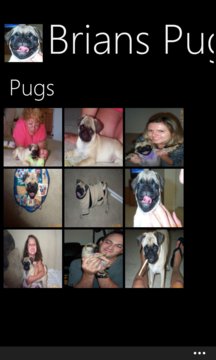 Brian's Pugs Screenshot Image