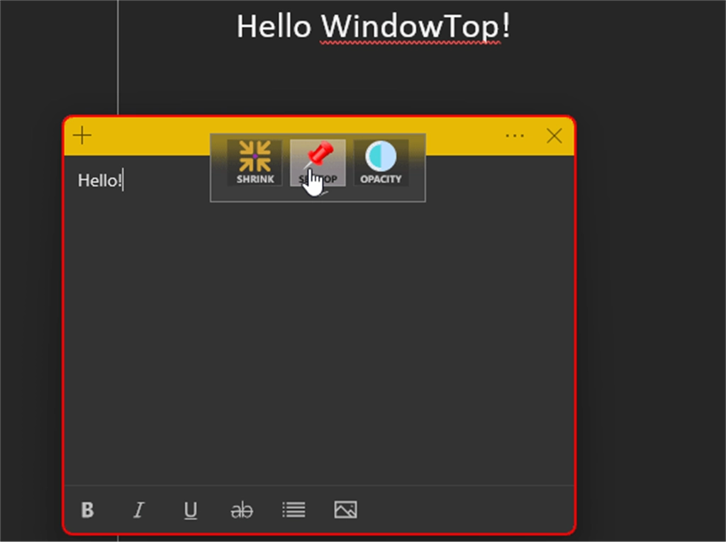 WindowTop Screenshot Image #4