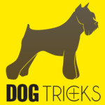 Dog Tricks + 1.0.0.0 for Windows Phone