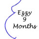 Ezzy 9 Months Icon Image