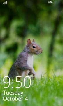 Squirrel LockScreen Screenshot Image
