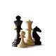 Classic Chess Icon Image