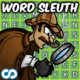 Word Sleuth Icon Image