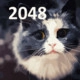 2048 Cats Icon Image