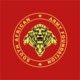 Army Foundation Icon Image