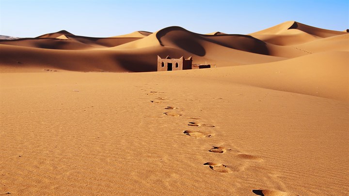 In the Desert Image