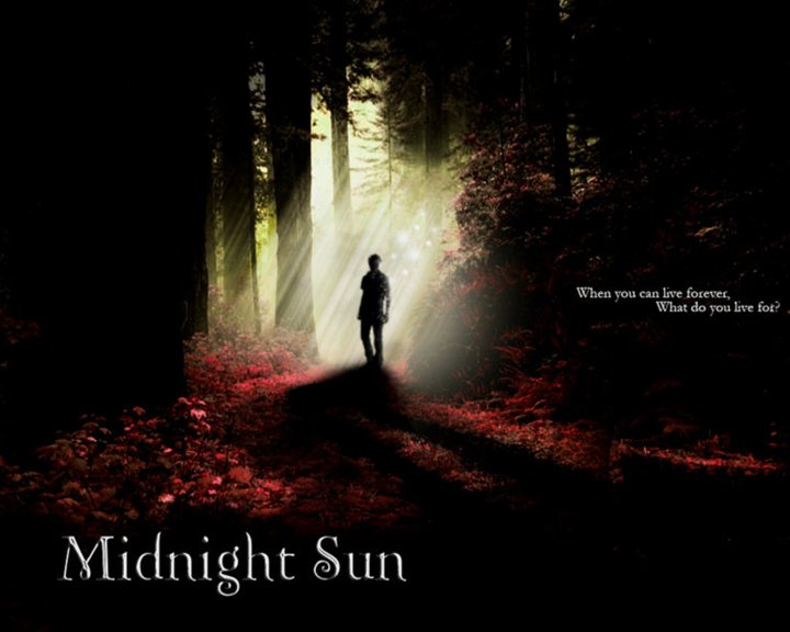 Midnight Sun Image
