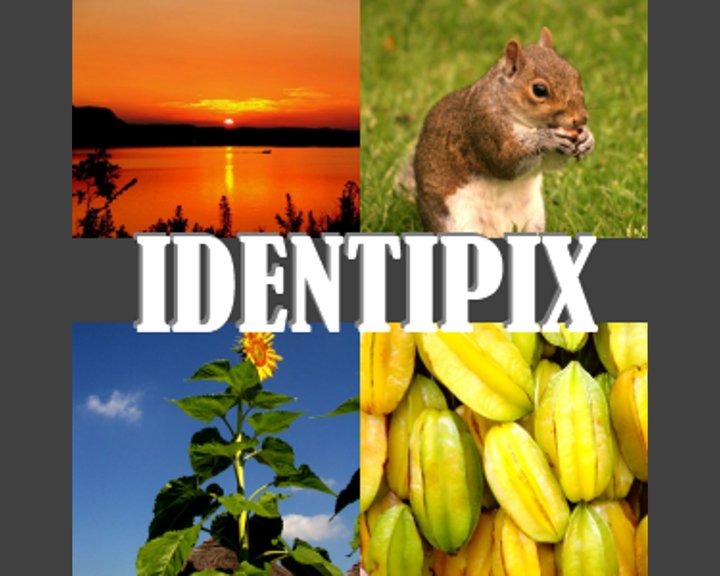 Identipix Image