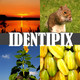 Identipix Icon Image