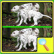 Find The Puppy Differences Icon Image