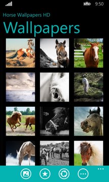 Horse Wallpapers HD Screenshot Image