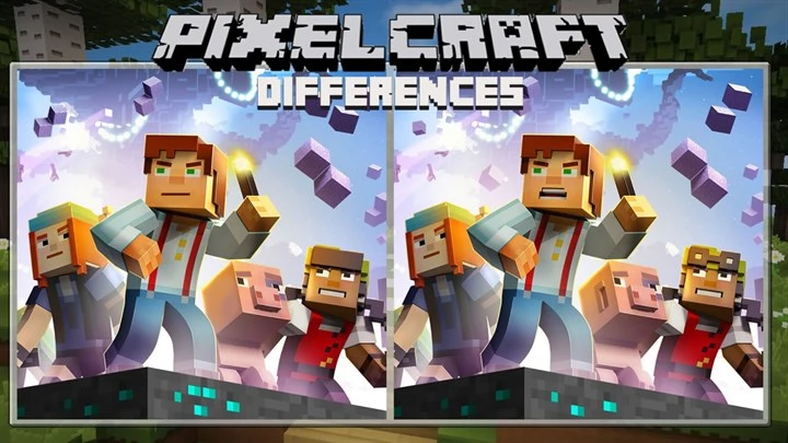 Pixelcraft Differences Image