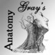 Gray's Anatomy Lite Icon Image