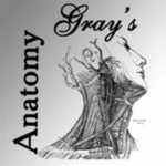 Gray's Anatomy Lite 1.0.0.0 for Windows Phone