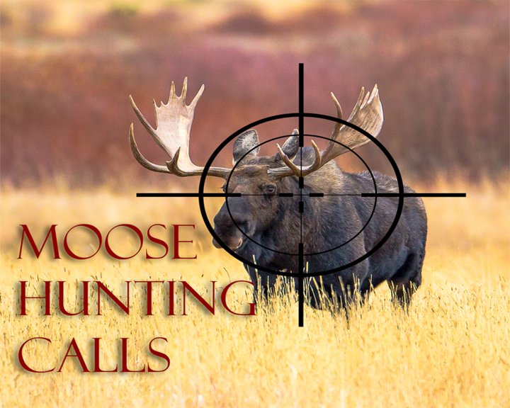 Moose Hunting Calls Image