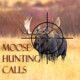 Moose Hunting Calls Icon Image