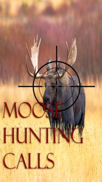 Moose Hunting Calls Screenshot Image