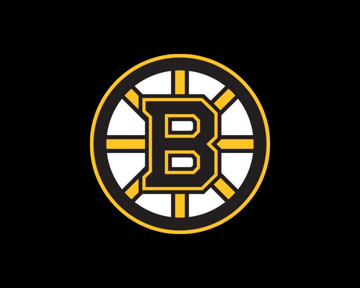 Boston Bruins NHL Image