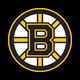 Boston Bruins NHL Icon Image