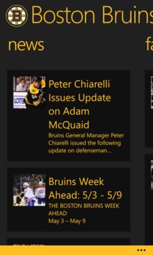 Boston Bruins NHL Screenshot Image