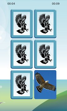 Hawk Matching Screenshot Image