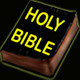 The Bible en English Icon Image