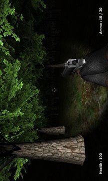 Slenderman Must Die: Silent Forest Screenshot Image