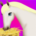 Horse Care Game 2 Image