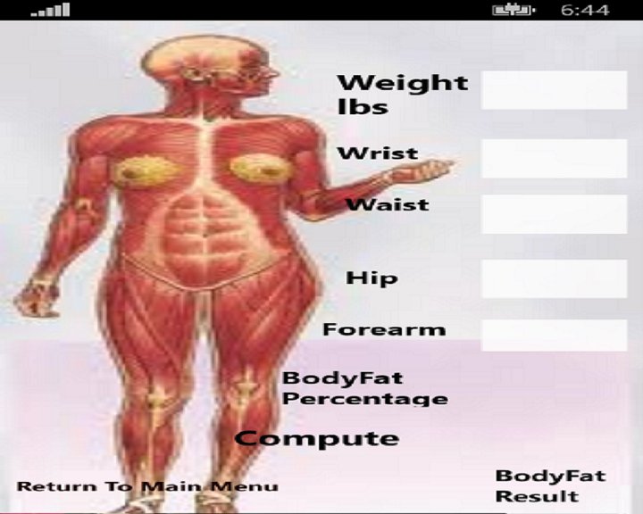 BMI Scale Image