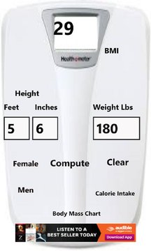 BMI Scale Screenshot Image