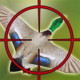 Duck Hunter: Sniper Shoot Icon Image