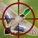 Duck Hunter: Sniper Shoot Image