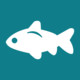 Fishing Channels Icon Image