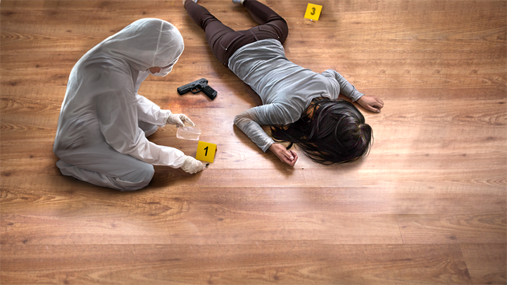 Homicide Squad: Crime Solving