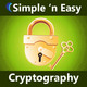 Cryptography Icon Image