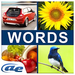 AE Word Guess Image