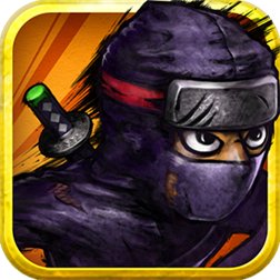 Ninja Fast Run Image
