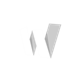 WizNote Icon Image