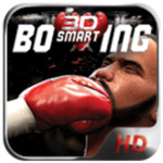 Smart Boxing3D Image