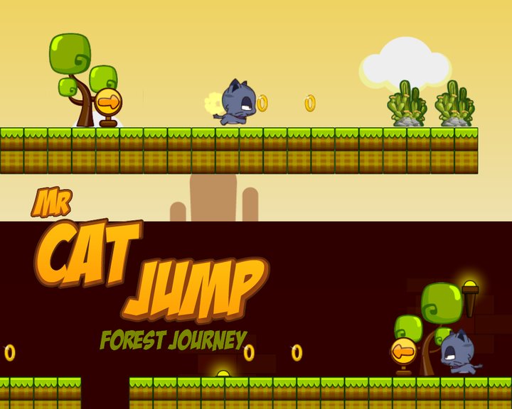 Mr Cat Jump