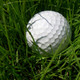 Connected Golfers Icon Image