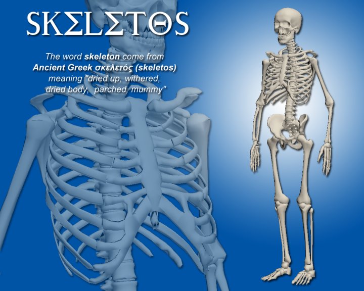 Skeletos Image
