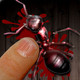 Amazing Ant Smasher Icon Image