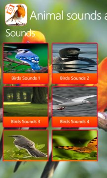 Birds Calls Sounds Screenshot Image
