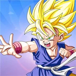 Dragon Ball Fighter Image