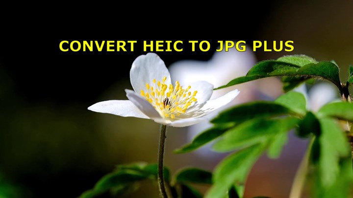 Convert HEIC to JPG Plus Image