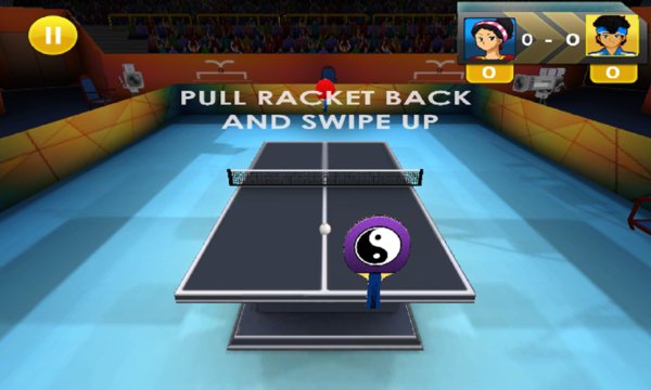 Virtual Table Tennis Pro 3D Screenshot Image