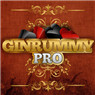 Gin Rummy Pro Icon Image