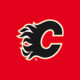 Calgary Flames Icon Image